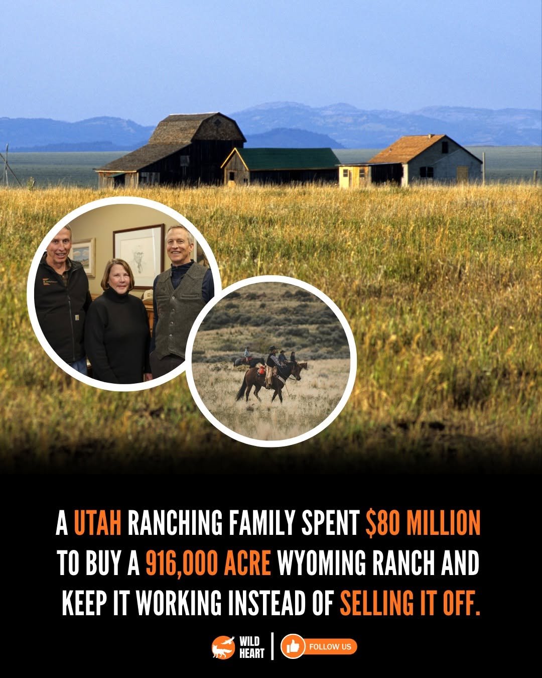 Photo by Wild Heart on February 17, 2026. May be an image of calf and text that says 'A UTAH RANCHING FAMILY FAMILY SPENT $80 MILLION MILLION TO BUY A 916,000 916, ACRE WYOMING RANCH AND KEEP IT WORKING INSTEAD OF SELLING IT OFF. WILD HEART FOLLOW US'.