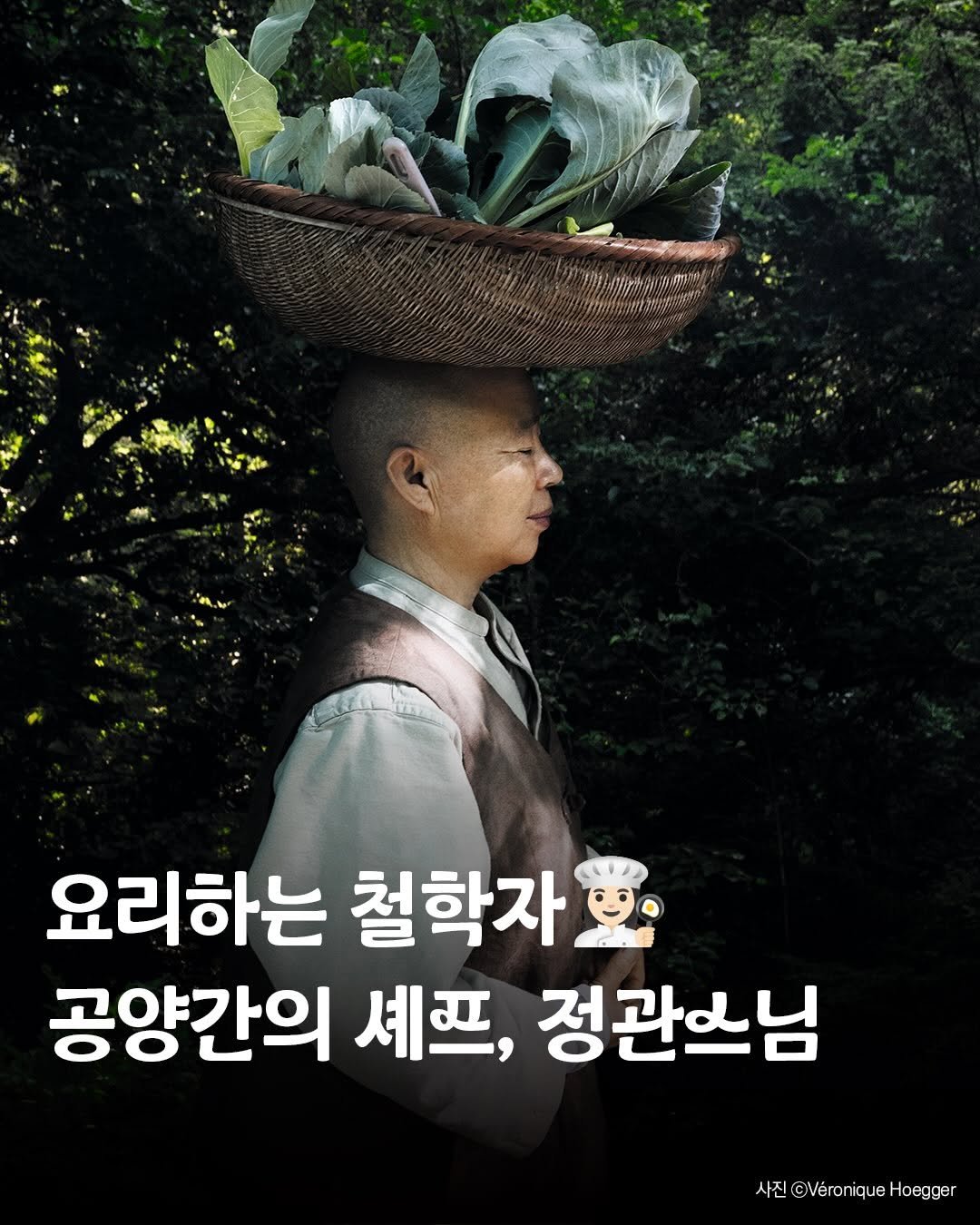 Photo by 윌북 on February 16, 2026. May be an image of poster, vegetable and text that says 'w 요리하는 철학자 공양간의 셰프, 정관스님 사진 사진@VeroniqueHoeggar @VeroniqueHoegger'.