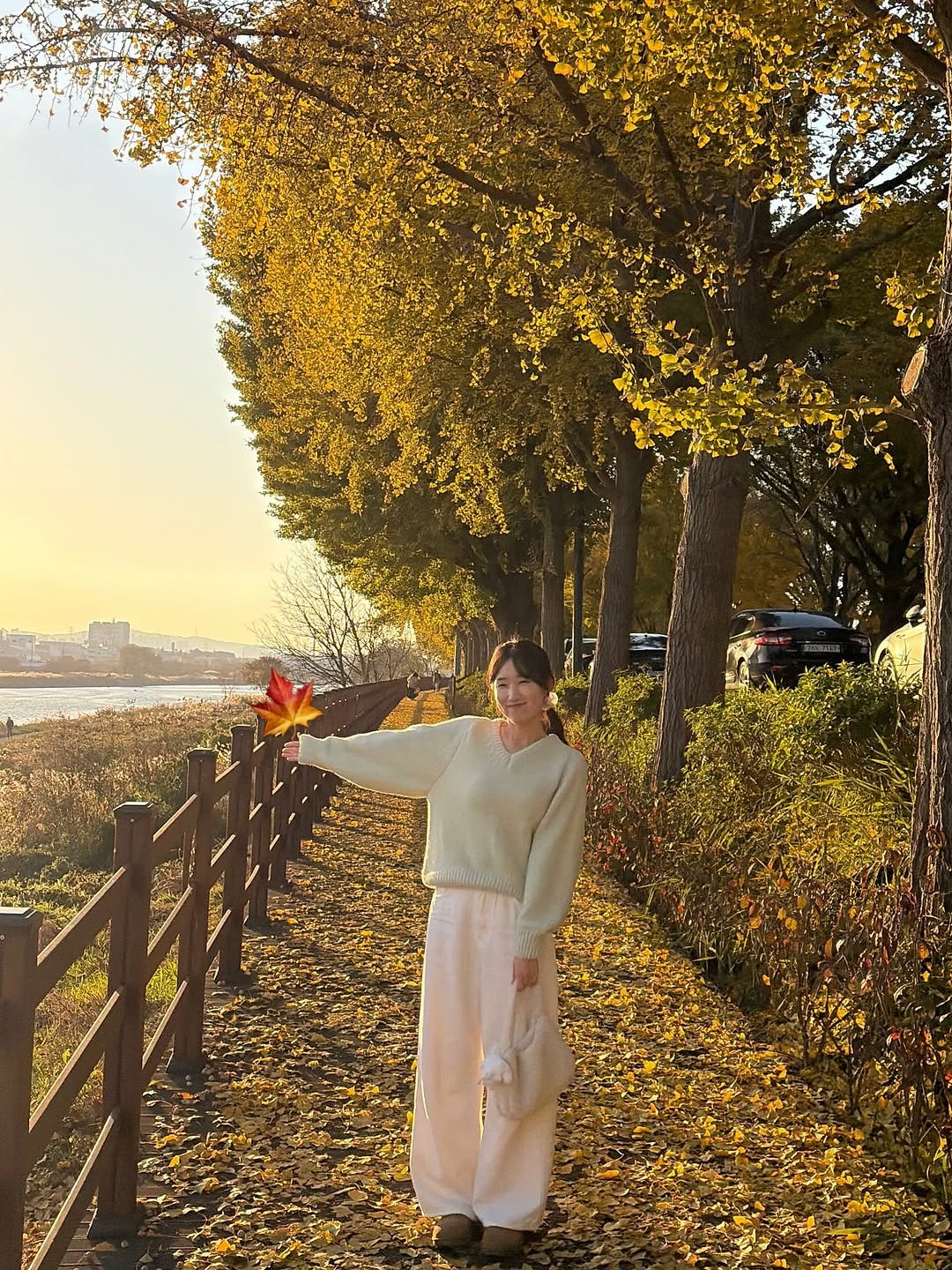 Photo by 윈미룸winmiroom[데일리룩] on November 16, 2025. May be an image of yellow jessamine, outdoors and text.