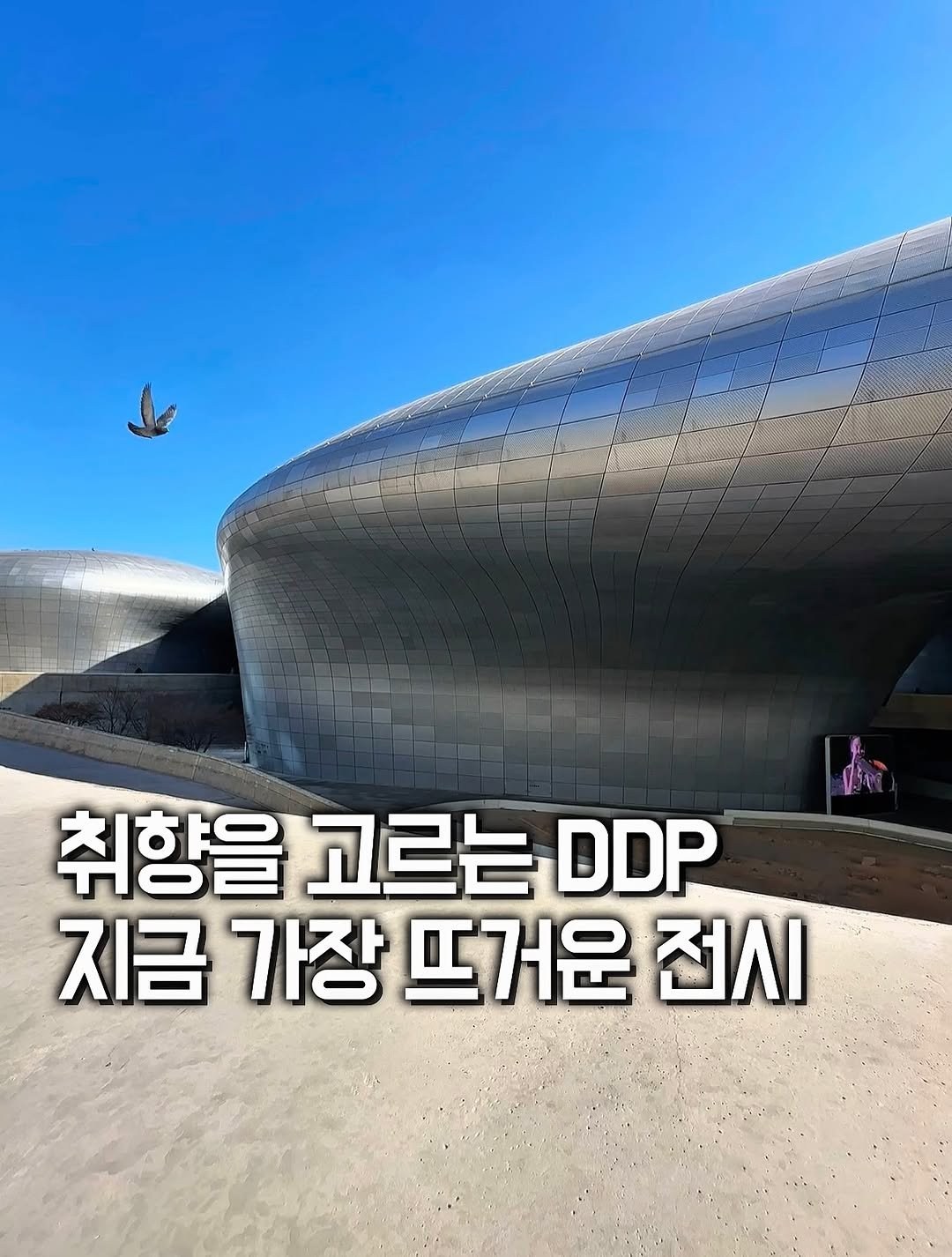 Photo shared by 위니 | 카페 | 공간 | 전시 | 여행 | 숙소 on February 09, 2026 tagging @ultra.dept. May be an image of Gyeongbokgung Palace and text that says '취향을 고르는 DDP 지금 가장 뜨거운 전시'.