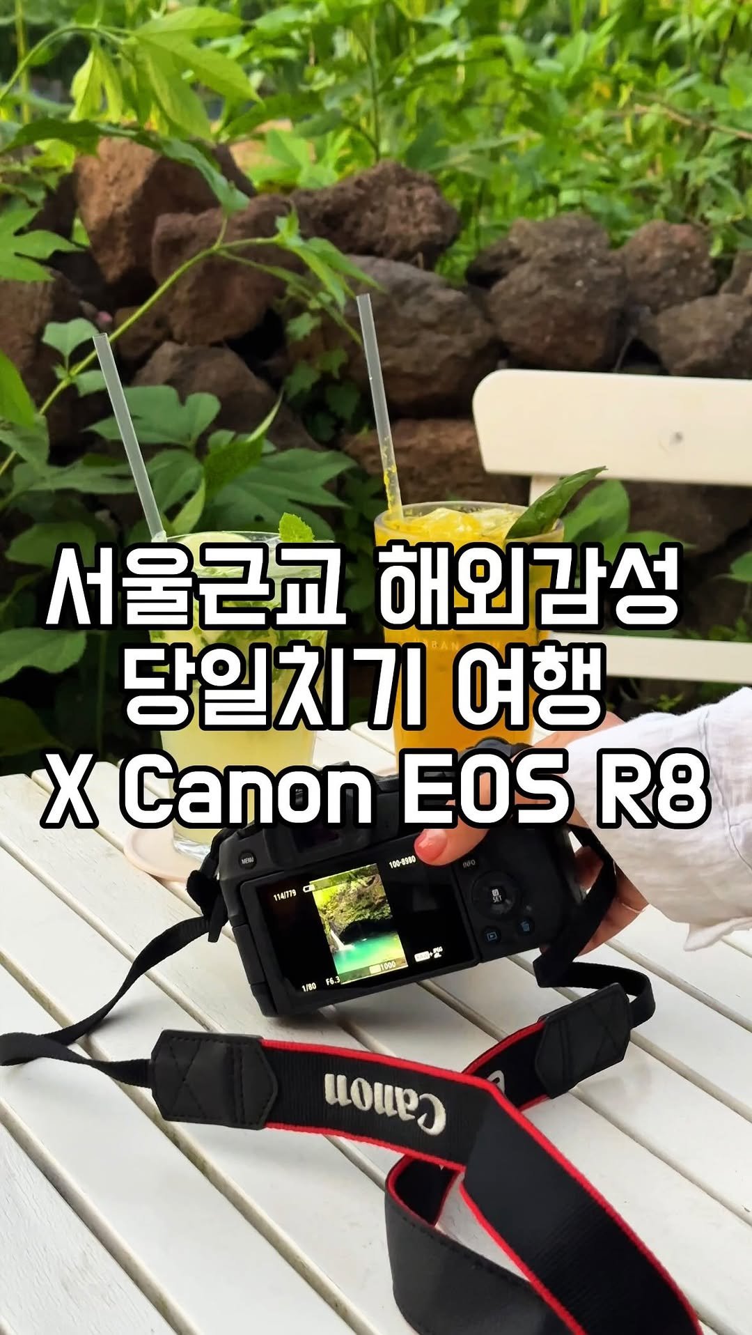 winnie_ly_ 게시물 이미지: 광고 @Canonkorea 📸 Canon EOS R8
서울근교 해외감성 당일치기...