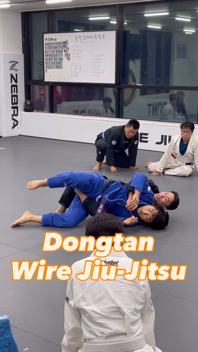 wire_dongtan 게시물 이미지: 노기에서도 레그 드래그🦵
그리고...