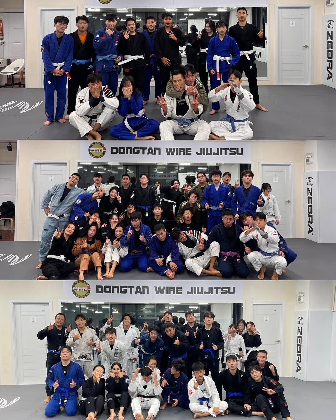 Photo by 동탄와이어주짓수 in 동탄2신도시 with @cho_jun_yong, and @wire_dongtan. May be an image of 6 people, people performing martial arts, mat, belt and text that says 'ANERA 宝 N WIRE DONGTAN WIRE JIUJITSU န် PEA N WINE DONGTAN WIRE JIUJITSU PO ខ្ញីរ 网'.