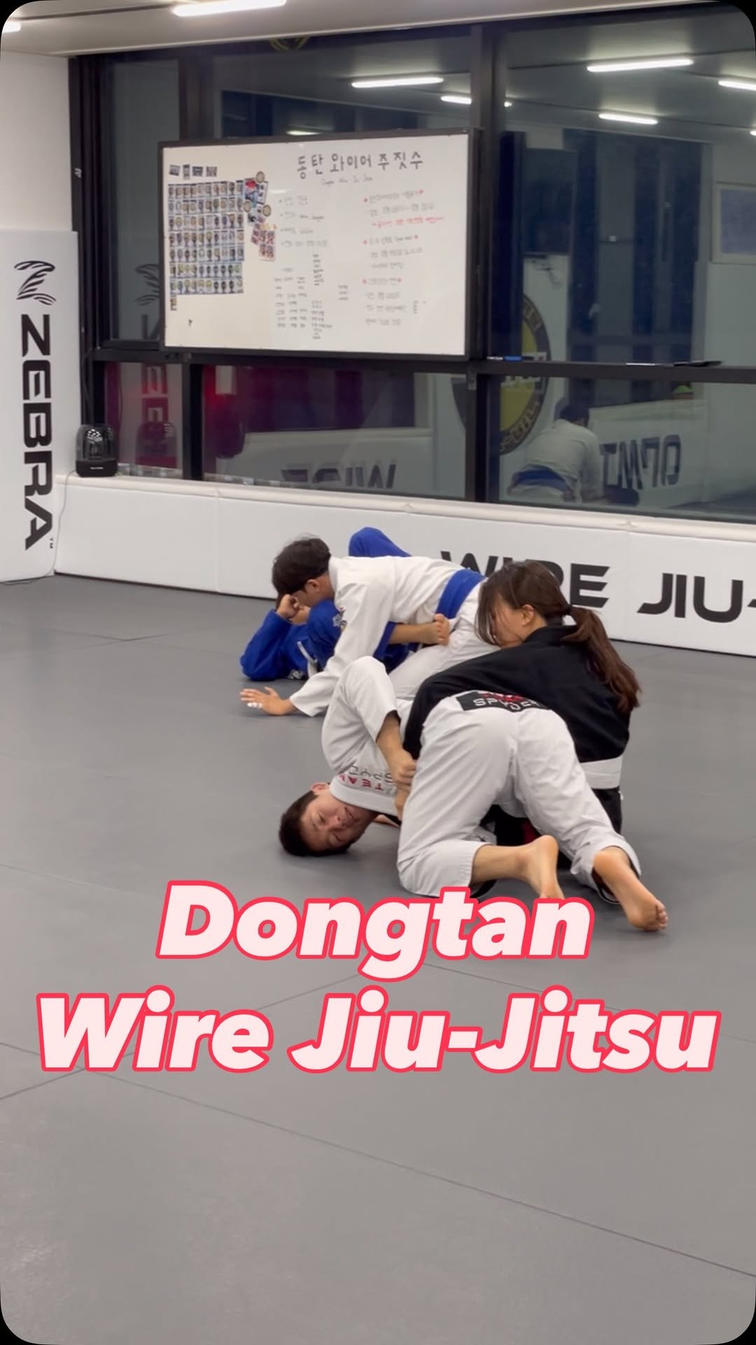 wire_dongtan 게시물 이미지: 오모플라타와 함께한...