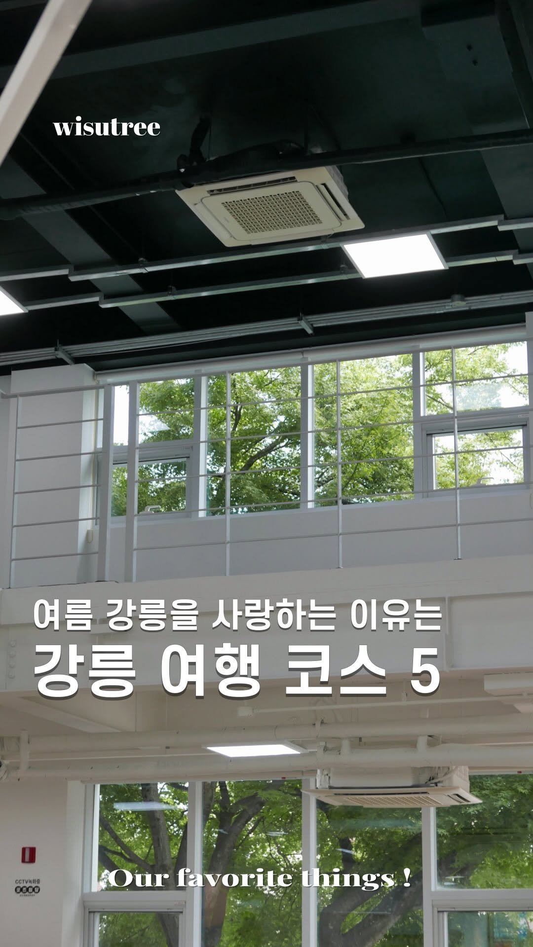 wisutree 게시물 이미지: 정말 좋은 기회로 강릉의 로컬 공간들을 다녀왔습니다.
너무 아름다운 강릉 바다...