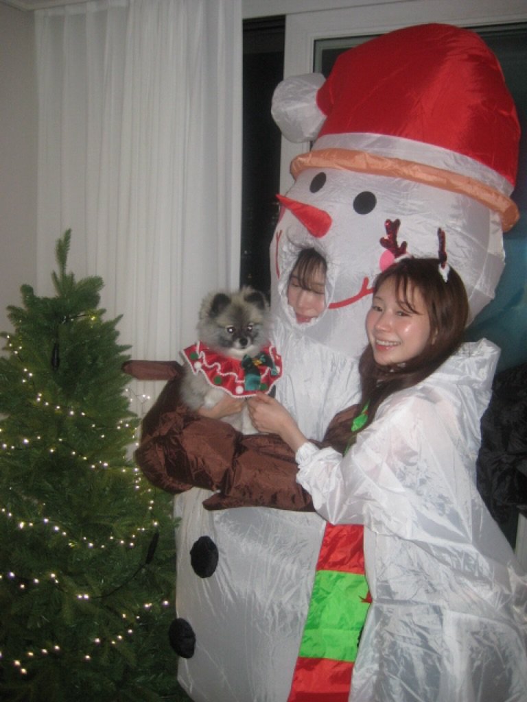 Photo shared by 사 사 sasa on December 24, 2025 tagging @for___sasa. May be an image of ragdoll cat, christmas tree, snowman, bath robe, tinsel and text.