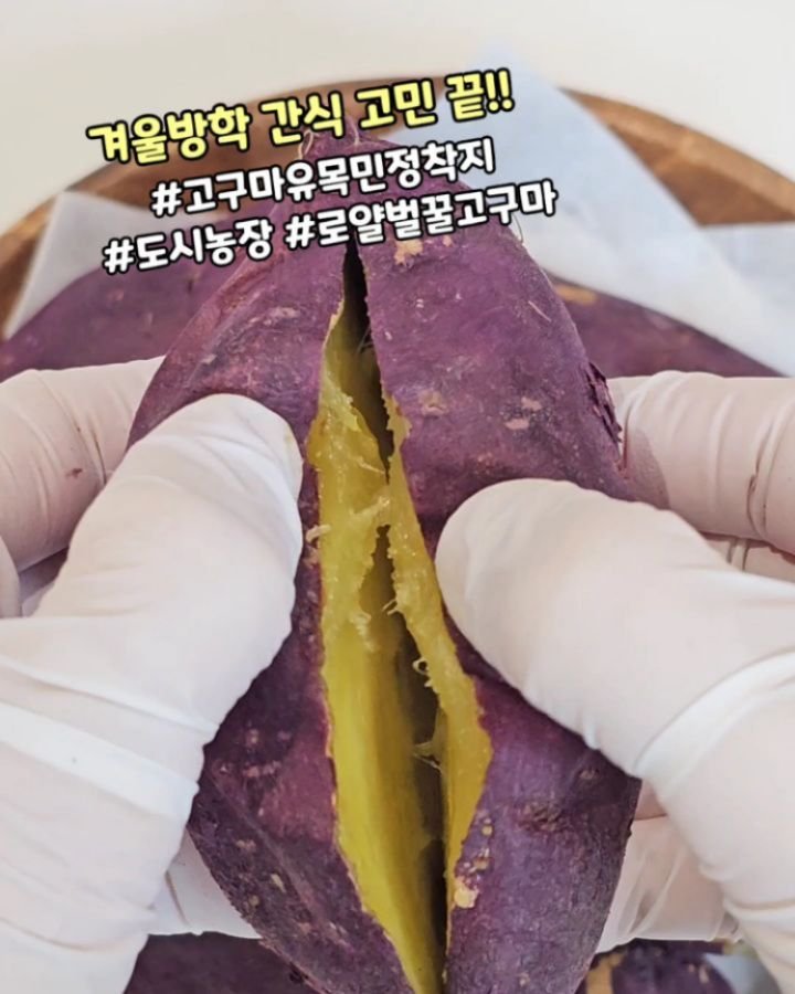 withmom_hyelim 게시물 이미지: 🍠 16차 재입고:) SNS 고구마 맛집!! 도시농장 로얄 벌꿀 고구마...