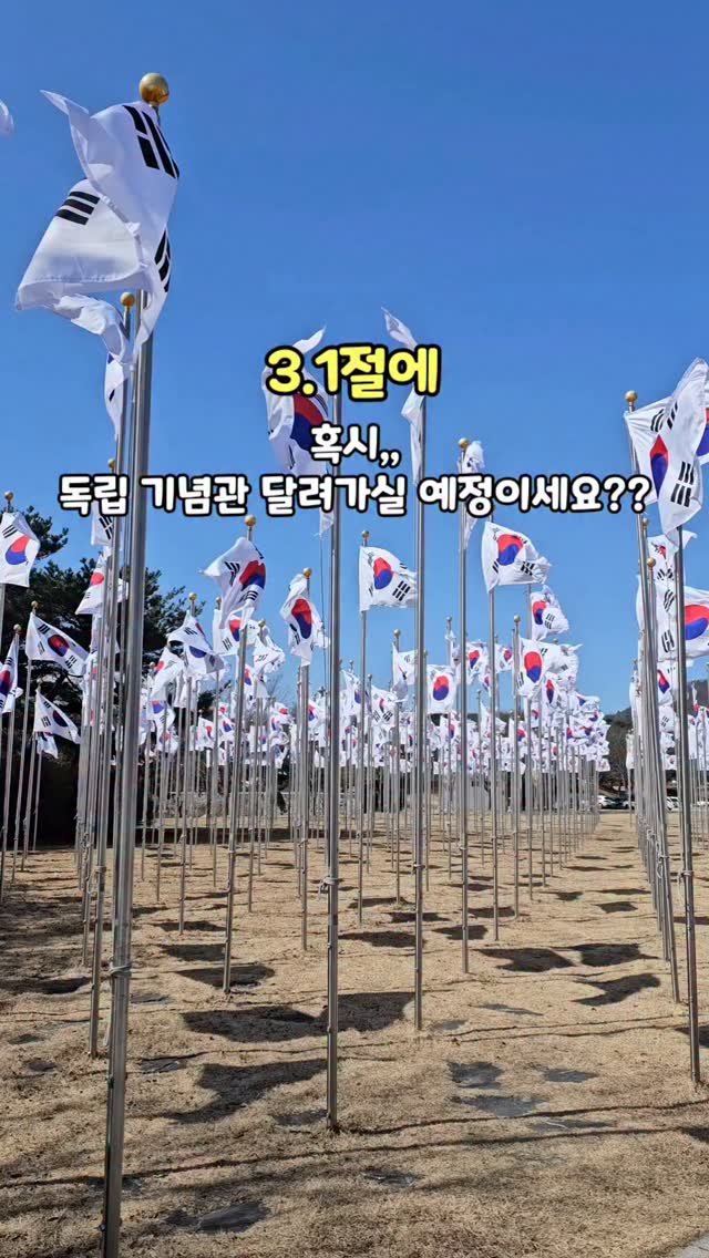 withmom_hyelim 게시물 이미지: 📣 3.1절 전에 꼭!! 읽히셔야 하는 책🇰🇷 박시백의 35년 내일...