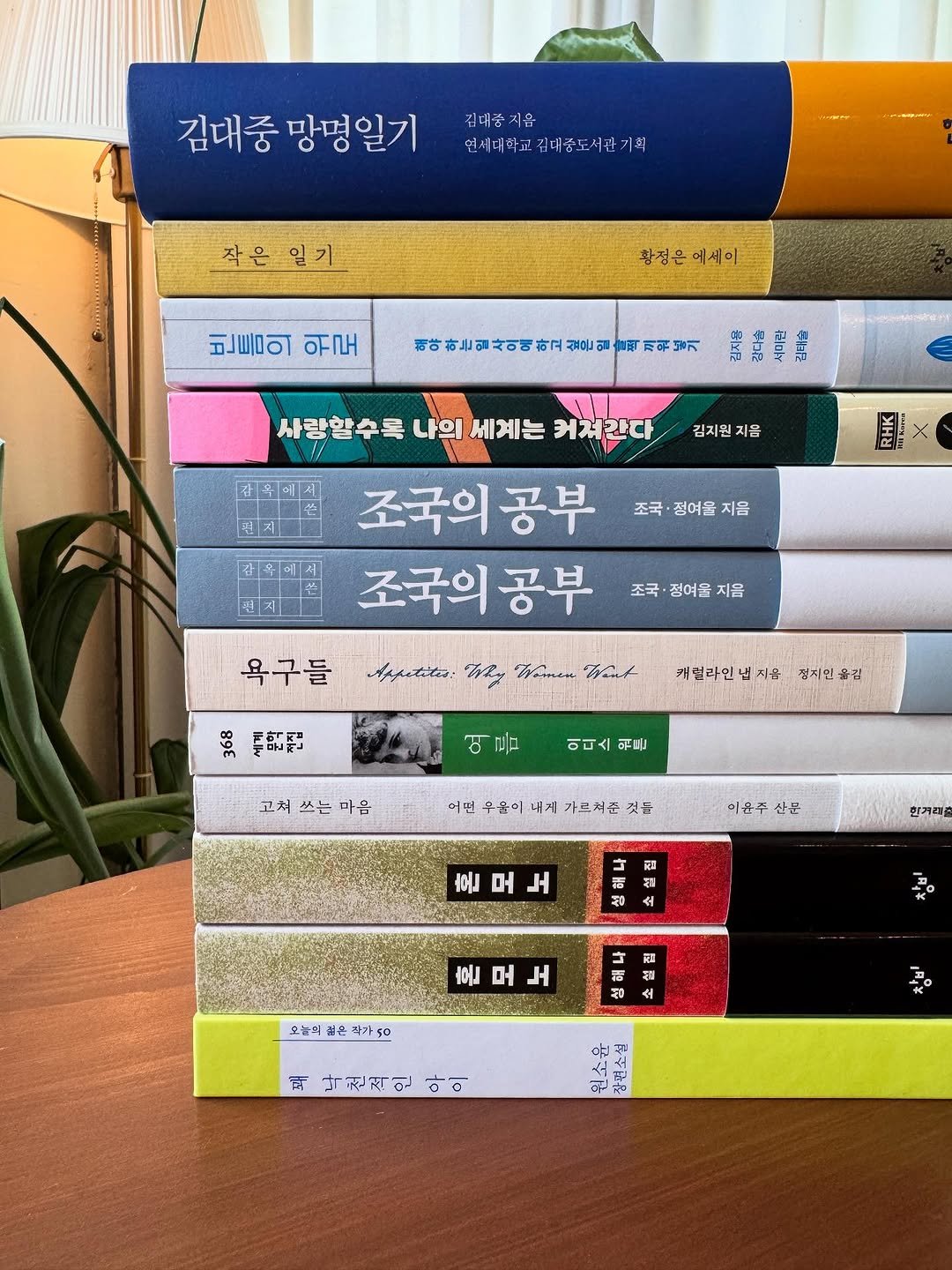 Photo by 독립서점 위드위로 on July 29, 2025. May be an image of book and text that says '김대중 망명일기 김대품지은 연시대학교김재중도서관기획 연세대하교 고김대종도서관기 작은 작은일기 일기 황정은에색이 황정은 예색이 빈들의 ΟΣΠH 市市市國可司市戸初山部新原部 까위념기 및 手者 간위에게 김지원 지음 사랑할수록 나의 세계는 나의세계는 커져간다 별지 조국의공부 공부 조국의공부 HK 김혜에서 조국- 정여물 지음 천시 조국· .국·정여을지음 정여을 지음 욕구들 Apputita: zy Women tronk 896 四 개심라인낸지를 정치인올김 이디스 워든 고쳐 쓰는 마음 어님무군이나게가드처준첫준 문이 나게 가드쳐준 것들 어떤 이은수산분 전분 혼모노 머 한거리출 活 생 ર 소 혼모노 머 二 은박가50 2០ 해니 သပ် 開 막권적인 아 이 원소윤 장견수신'.