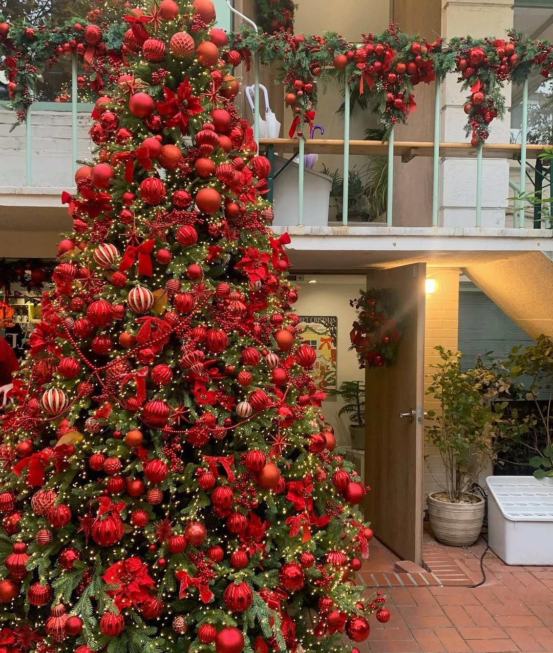 Photo by 예린 on December 01, 2024.