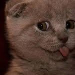 jaineyre 프로필 사진