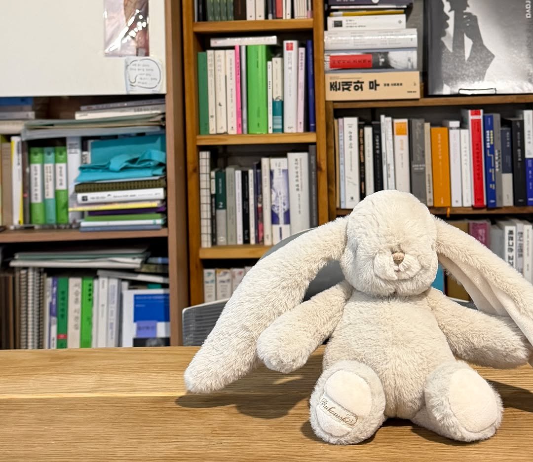Photo by 시집서점 위트 앤 시니컬 on April 27, 2026. May be an image of rabbit, toy, book, office and text.