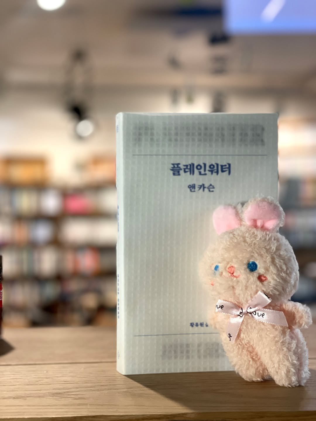 Photo by 시집서점 위트 앤 시니컬 on November 09, 2025. May be an image of toy, book and text that says '플레인워터 앤카슨 장유원& oue'.