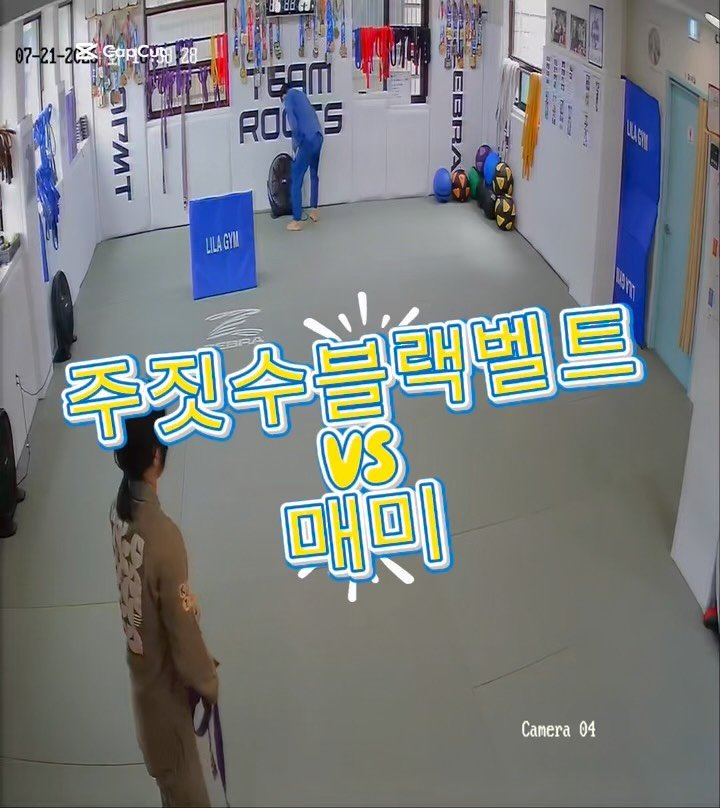 won.hee_bjj 게시물 이미지: 주짓수블랙벨트 VS 매미 ☀️

제발나가줘 부탁이다…

 #매미 #주짓수블랙벨트