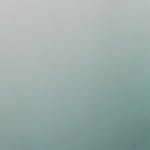 _chanyounglee 프로필 사진
