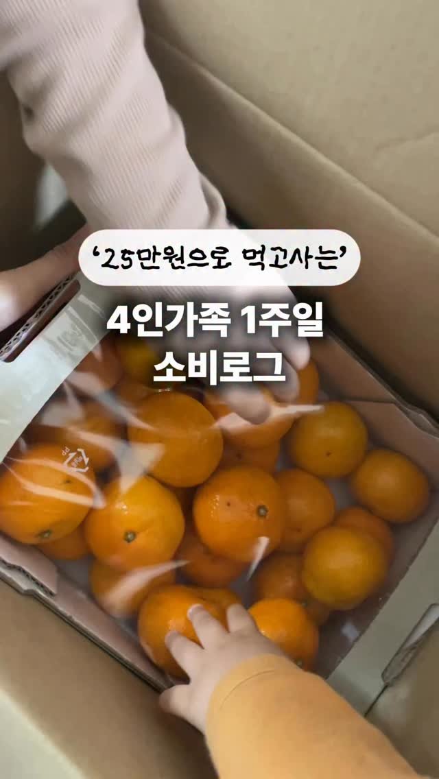 woo_percent 게시물 이미지: 💫 릴스가계부 , 1주일 생활비 예산 25만원

✔️ 저희는 4인가족이고 올해기준...