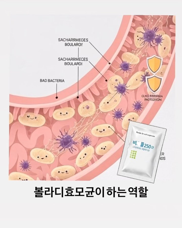 wooahthink_ 게시물 이미지: #영롱유산균 역할 🦠

볼라디효모균은요
영롱 유산균의 부원료일 뿐이에요.

효모균은...