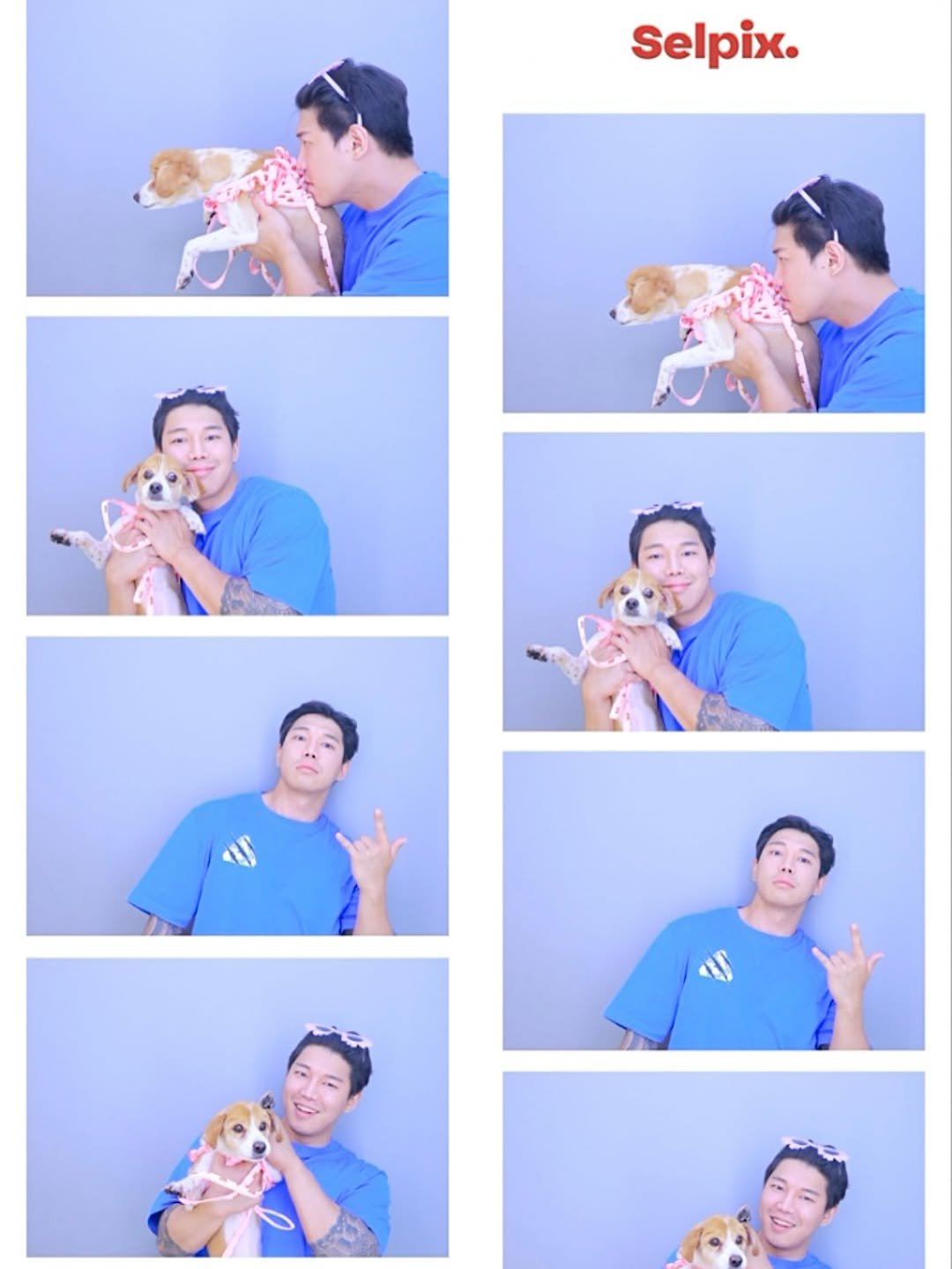 Photo by 우비 on December 15, 2025. May be an image of Norwich terrier, Pekinese and text that says 'Selpix.'.