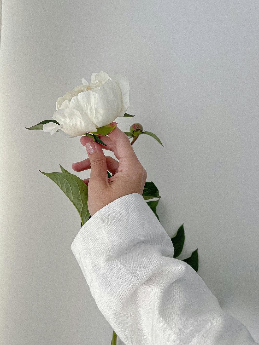 Photo by 작가 우듬지 on September 17, 2025. May be an image of flower arrangement, prairie gentian, white lily, peony, rose, carnation and text.