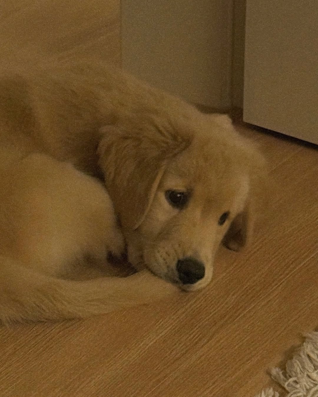 Photo by 우디스토리 woodystory on December 01, 2024.