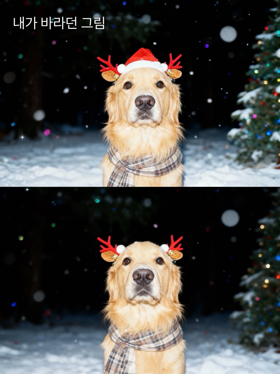 Photo by 우디스토리 woodystory on December 04, 2025. May be an image of golden retriever, collie and text that says '내가 바라던 그림 V'.