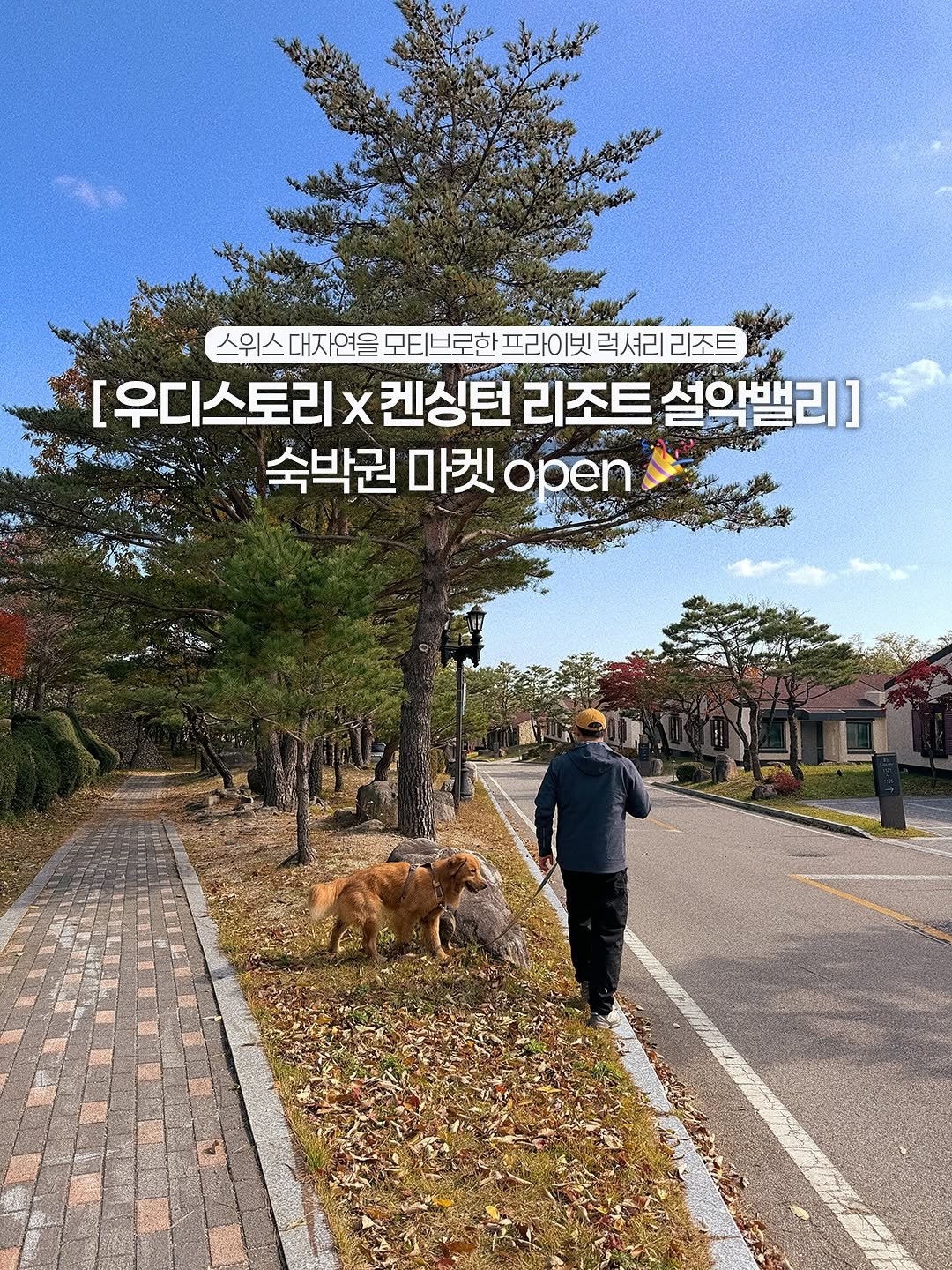 Photo shared by 우디스토리 woodystory on November 13, 2025 tagging @kensington_valley. May be an image of Norwich terrier, Groenendael, outdoors and text that says '스위스 대자연을 모티 모티브로한 프라이빗 럭셔리 리조트 [우디스토리 χ 켄싱턴 리조트 설악밸리] 숙박권 마켓 open'.