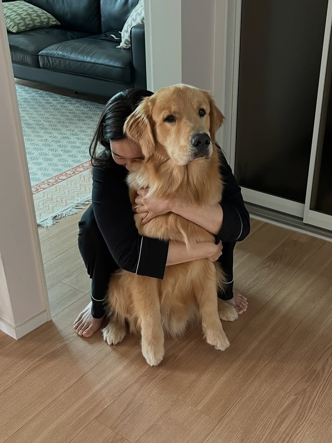 Photo by 우디스토리 woodystory on December 10, 2025. May be an image of collie, golden retriever and text.