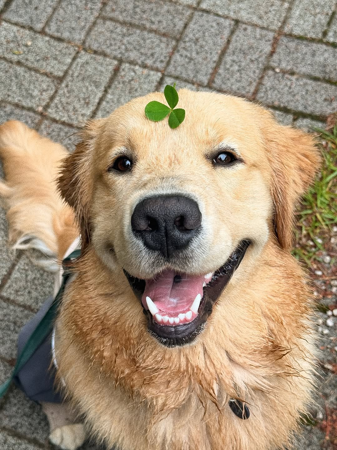 Photo by 우디스토리 woodystory on July 13, 2025.