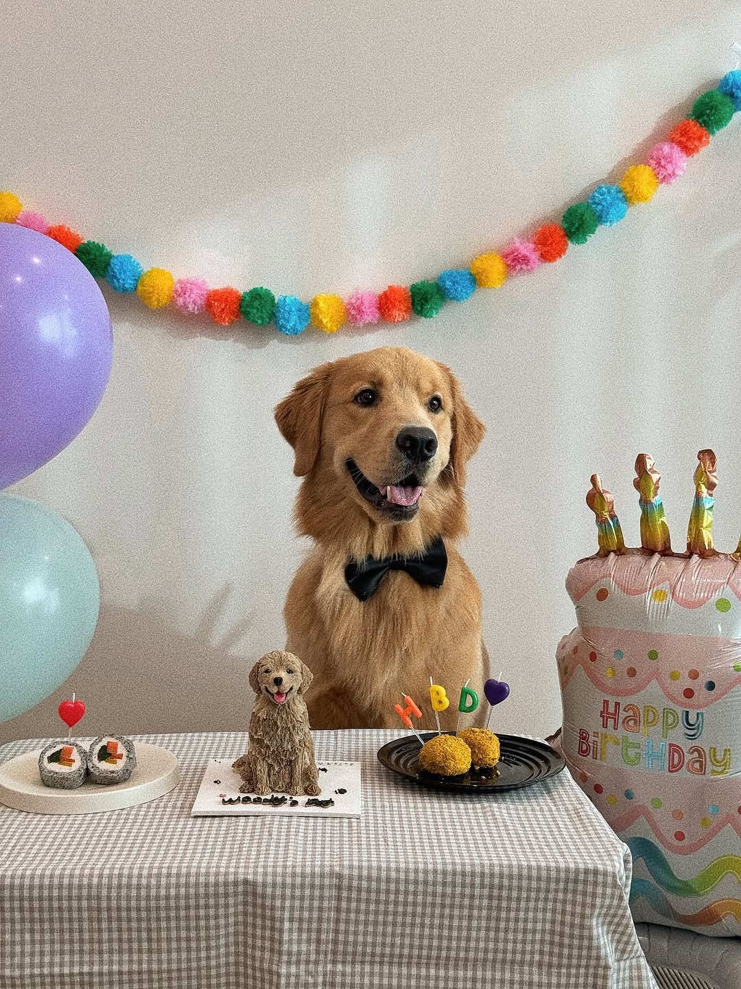 Photo by 우디스토리 woodystory on August 16, 2025. May be an image of collie, golden retriever, balloon, bowtie and text.