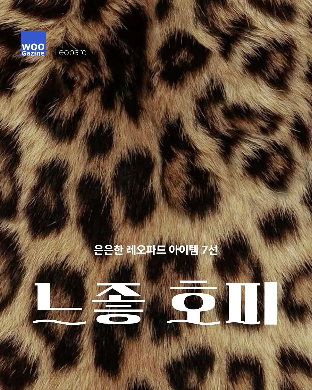 Photo by 우거진 I Woogazine on November 02, 2024.