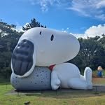 mingvely127 프로필 사진