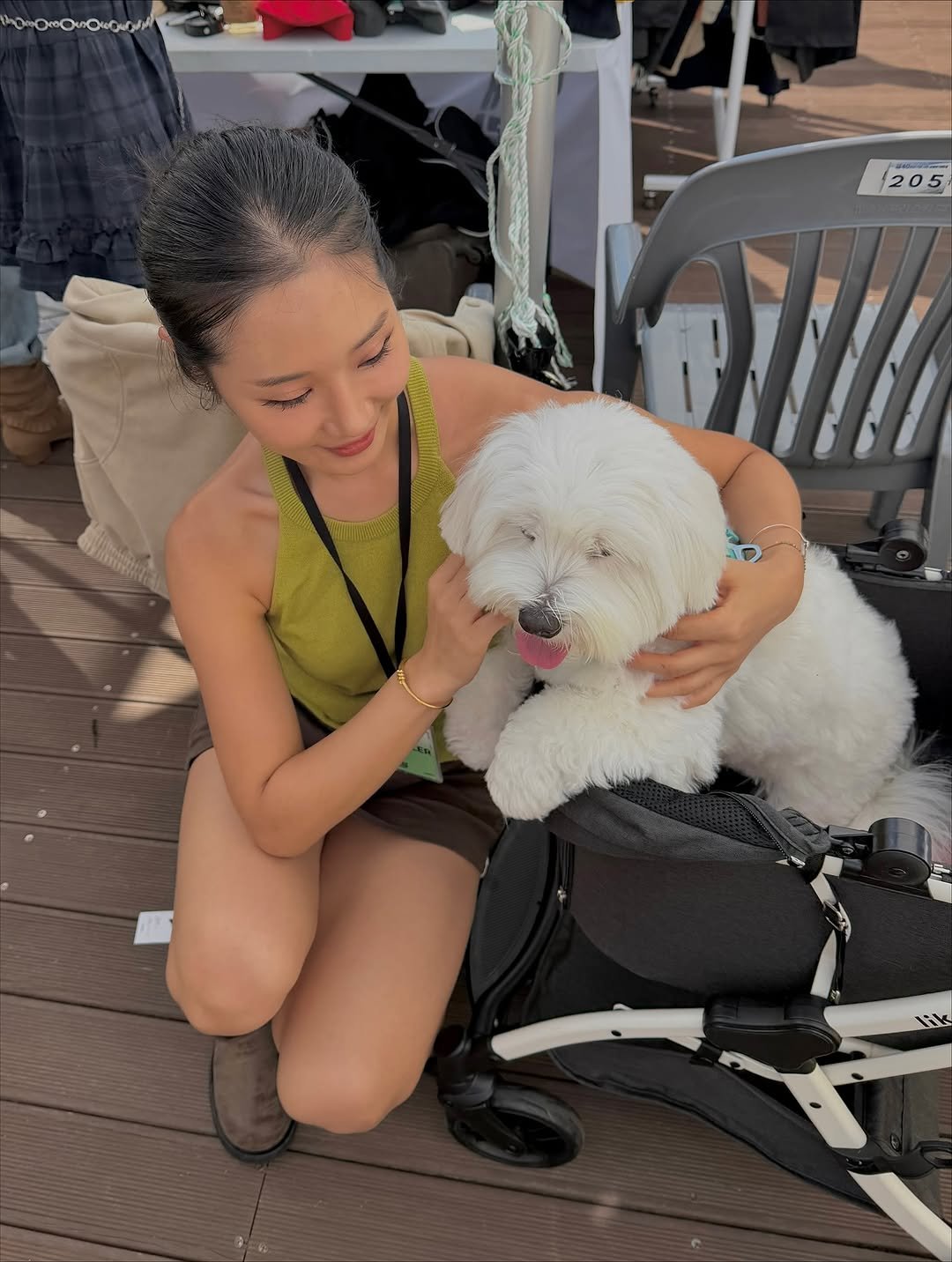 Photo by 우나스 woonas on September 22, 2025. May be an image of Maltese, Bedlington terrier and text.