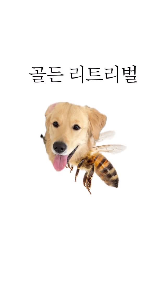 woonybony 게시물 이미지: 의식의 흐름