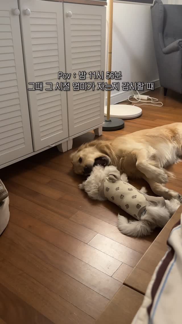 woonybony 게시물 이미지: 야야 엄마 온다 눈감ㅇ