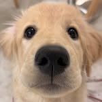 woonybony 인스타그램 프로필 사진