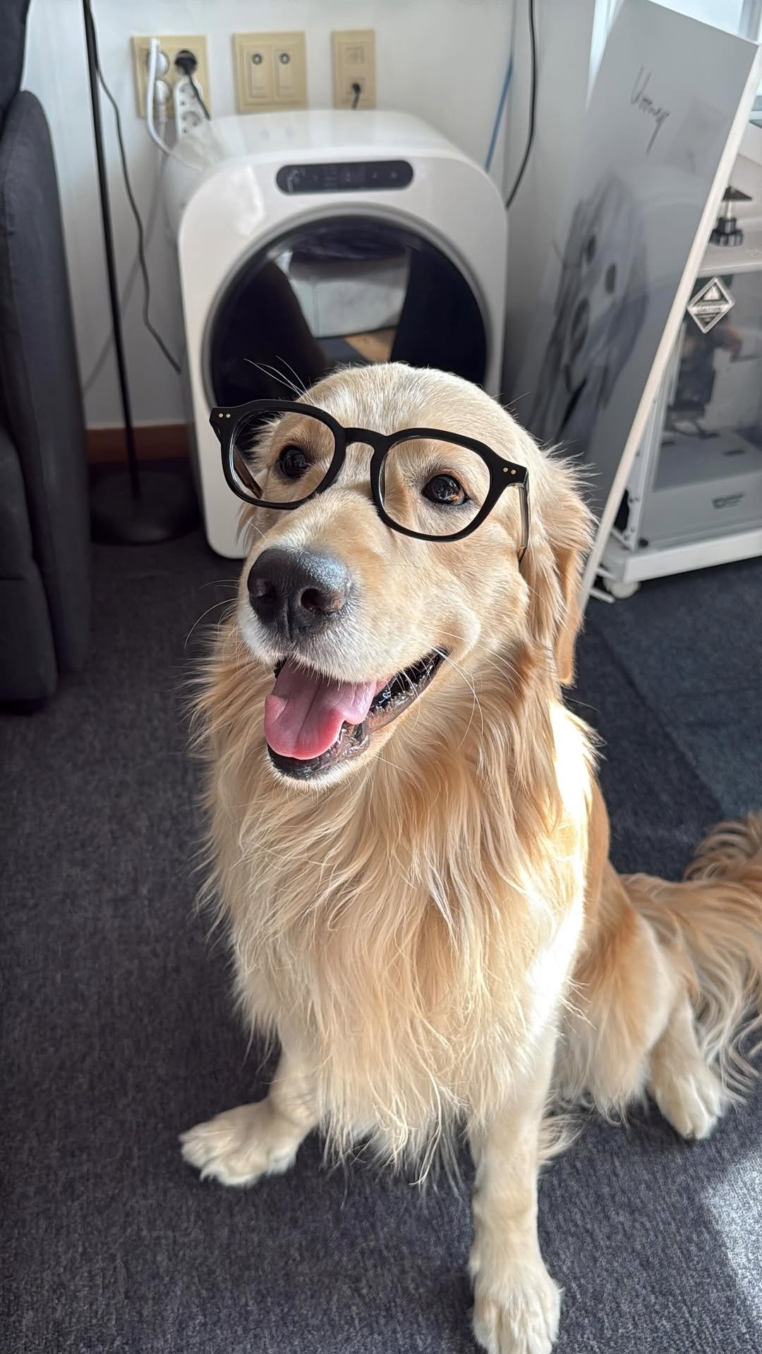 woonybony 게시물 이미지: 의식의 흐름