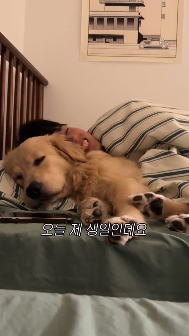 woonybony 게시물 이미지: 8월 13일 오느릐 일ㄱㅣ… ⭐️