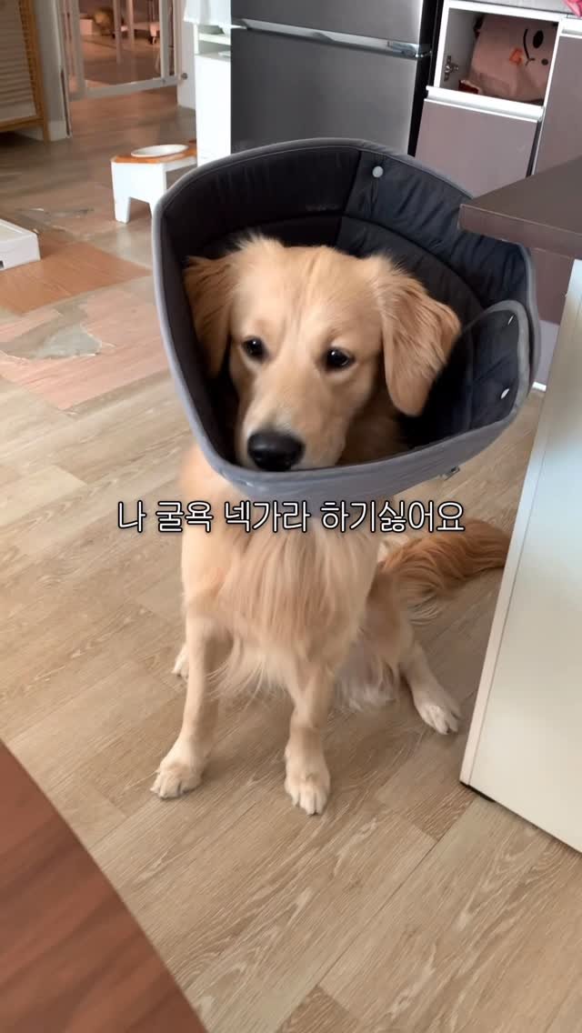 woonybony 게시물 이미지: 껌. 뱉지. 마ㄹㅏ@