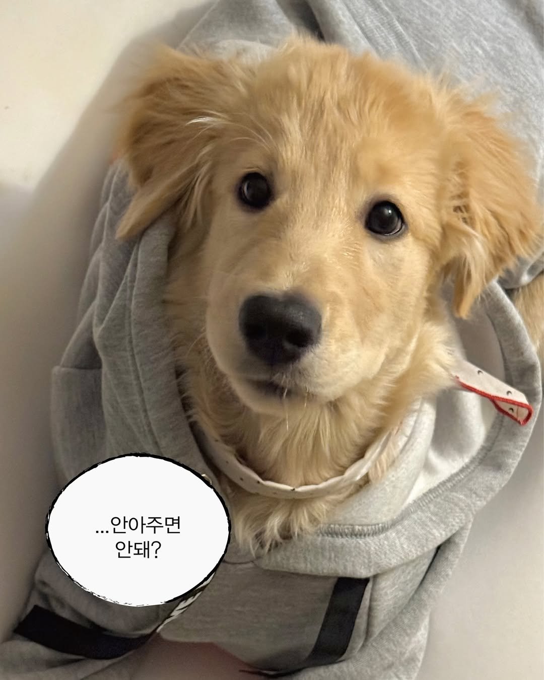 Photo by 사자가 되고싶은 우니 on January 17, 2025.