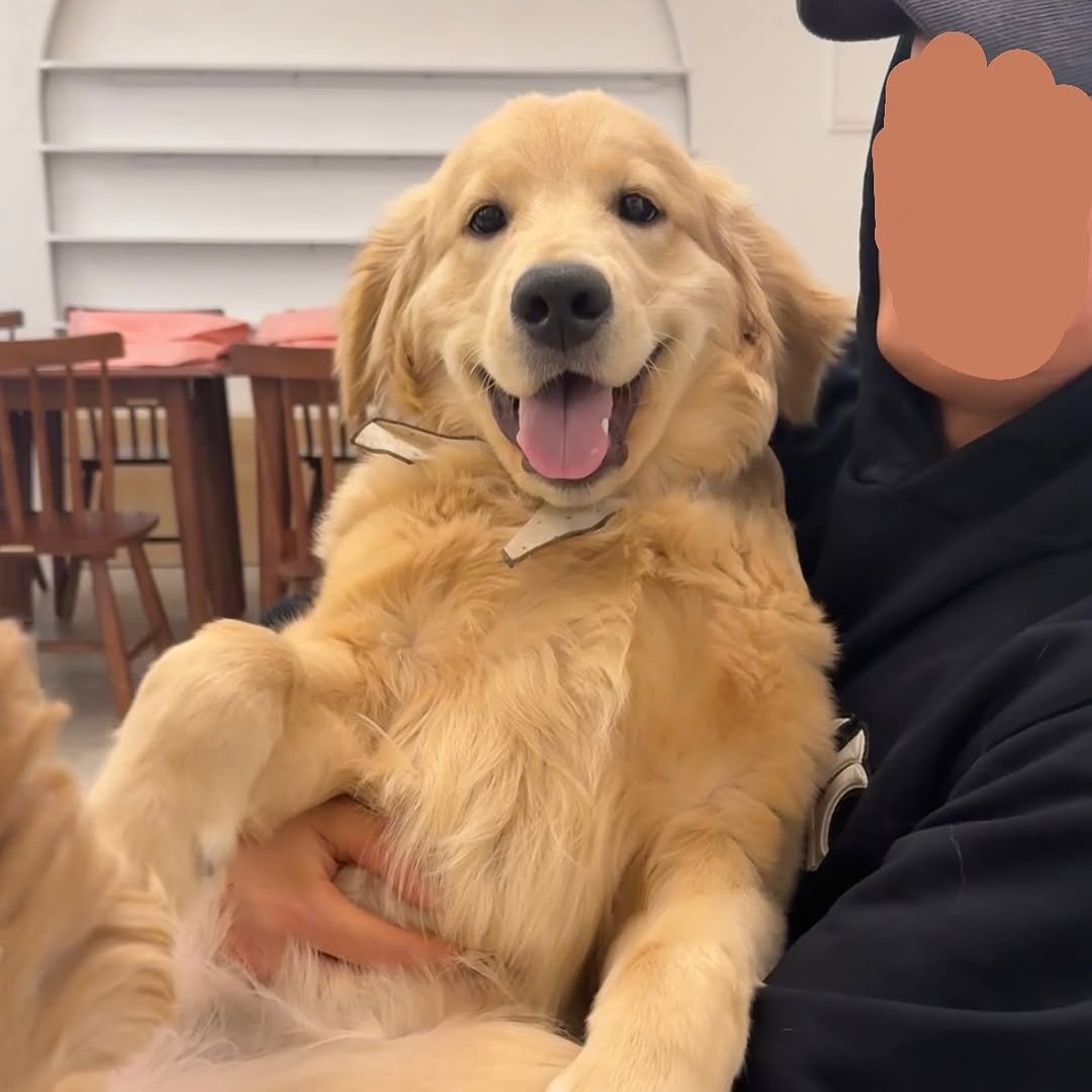 Photo by 사자가 되고싶은 우니 on April 05, 2025.