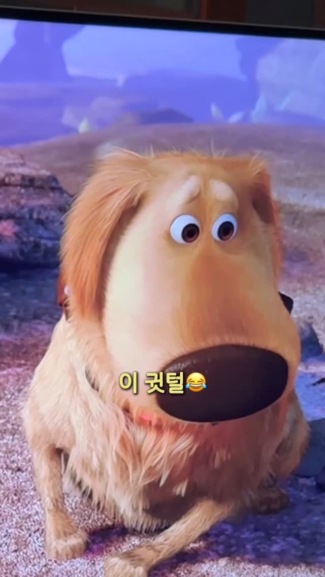 woonybony 게시물 이미지: 우니가 더그와 닮은 이유