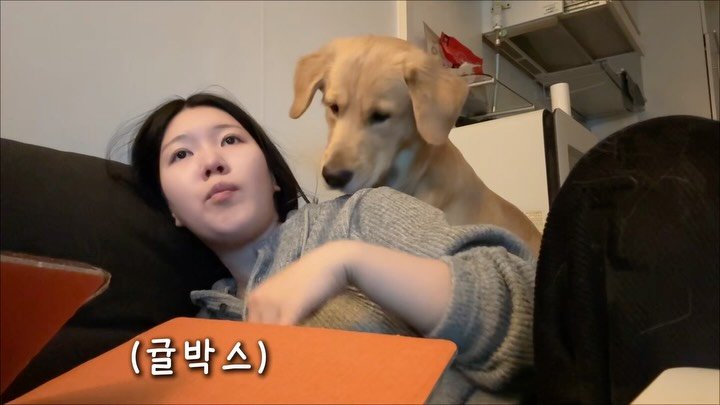 woonybony 게시물 이미지: POV : 골댕이랑 살면