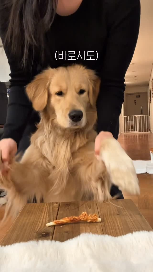 woonybony 게시물 이미지: 간식 날리기ㅋㅋㅋㅋㅋㅋㅋㅋㅋㅋㅋㅋㅋㅋㅋㅋㅋ