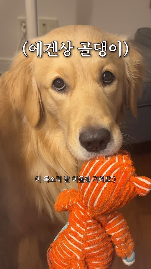 woonybony 게시물 이미지: #광고 우니Ai 목소리 무료 배포 이벤트!!

드디어 정착 완료! 우니 목소리...