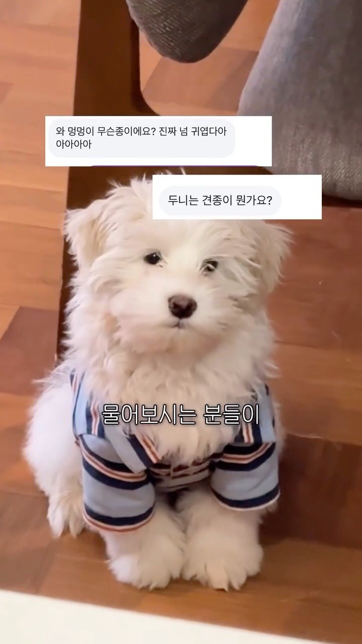 woonybony 게시물 이미지: 우니 동생 두니는 과연 어떤 종일까?