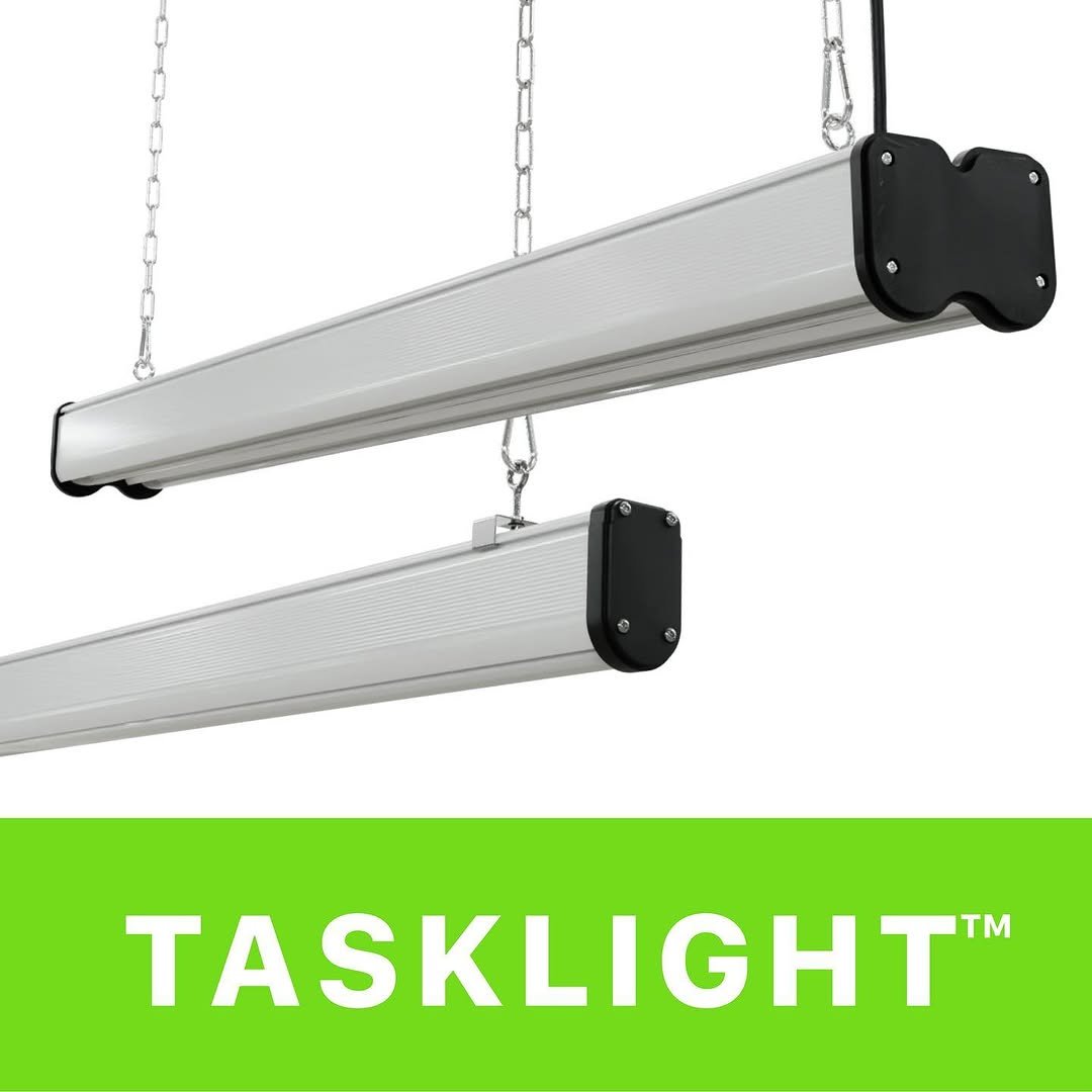 workspace 게시물 이미지: The TASKLIGHT Series is back in stock now and...