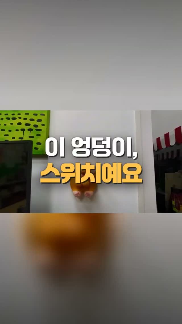 worldhot_item 게시물 이미지: 우리 집에서 제일 귀여운 건 스위치예요 🐱🍑
밋밋했던 스위치에 이걸 붙여줬더니...