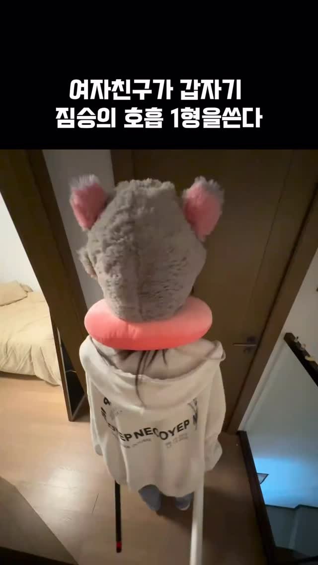 worldhot_item 게시물 이미지: 🐗 이노스케 모자 담요세트

여친이 갑자기 짐승의 호흡 1형을 써버림ㅋㅋ
모자만...