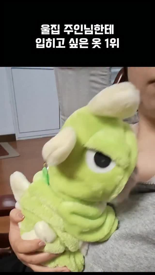 worldhot_item 게시물 이미지: 🦖 고양이 공룡옷

세상 귀여운 멸종 위기종 등장💚
공룡 옷 입은 고양이 한정판...