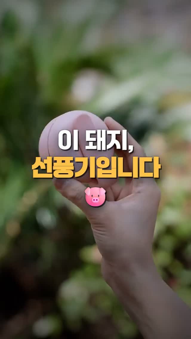 worldhot_item 게시물 이미지: 손풍기 들고 다니기 지쳐서 데려온 아기돼지예요 🐷
모자에 콕, 가방끈에 콕,...